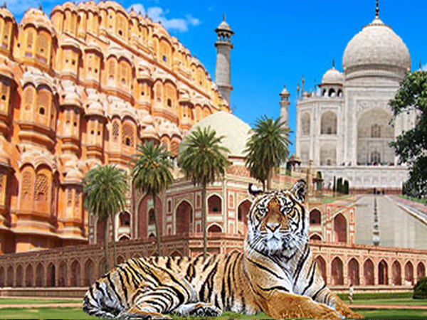 Viajes Populares a la India