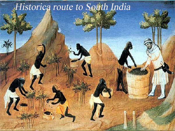 Viajes Populares a la India