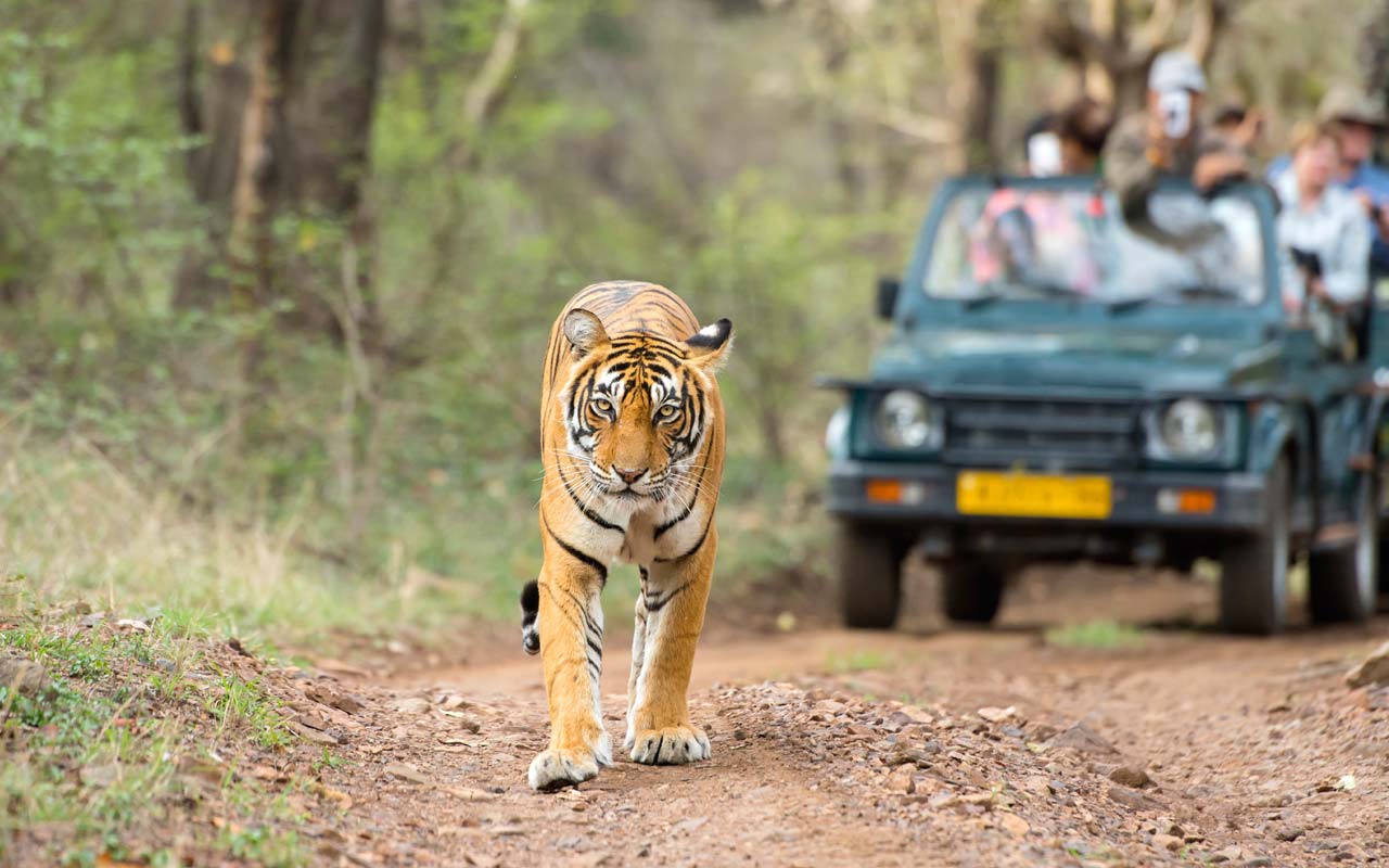 India Inolvidable